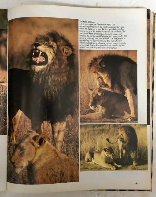 Die Krugerwildtuin in Woord en Beeld