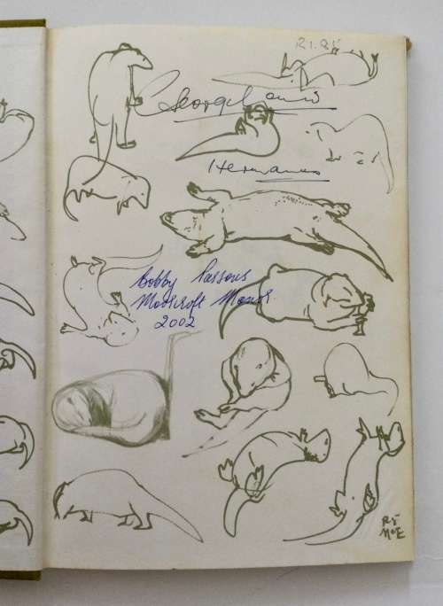 The Otters` Tale - Gavin Maxwell. Hardcover w/dj. 1st Ed, 1962