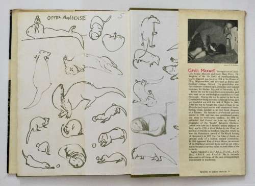 The Otters` Tale - Gavin Maxwell. Hardcover w/dj. 1st Ed, 1962