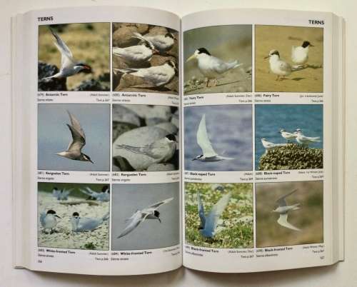 Sea Birds of the World - Peter Harrison. Softcover, Reprint (2003)