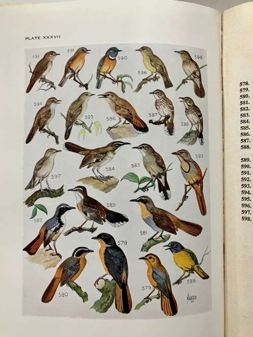 Roberts Birds of South Africa - Rev. by McLachlan & Liversidge. Hardcover w/dj, Rev Ed. 2nd Pr. 1958