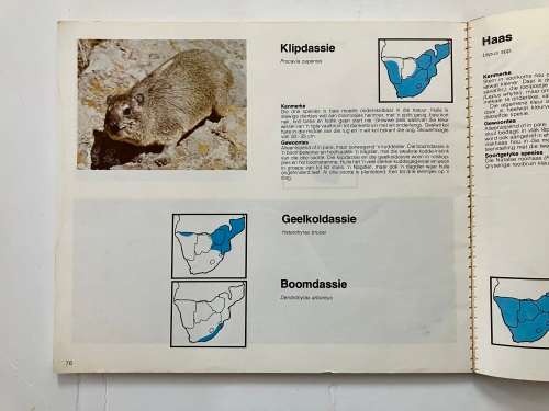 Soogdiere van Suidelike Afrika - John Banks. SKAARS Sagteband, 1e druk. 1974