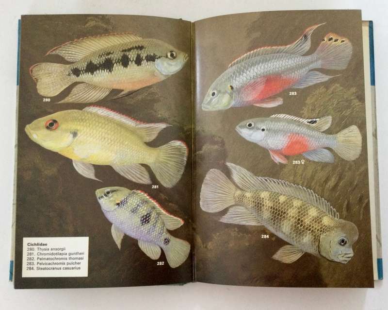 Aquarium Fishes in Color - JM Madsen. Hardcover w dj, 1st US Ed, 1975