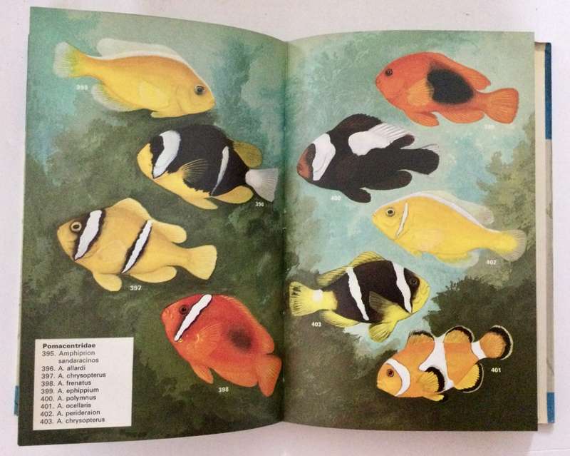 Aquarium Fishes in Color - JM Madsen. Hardcover w dj, 1st US Ed, 1975