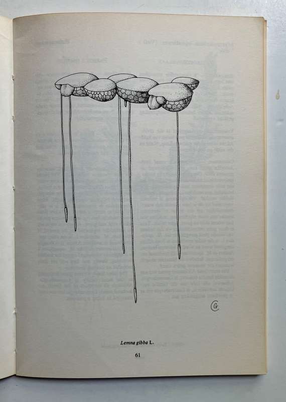 Verklaarde Onkruide en Uitheemse Indringerplante - M Henderson et al. Sagteband, 1e Uitg. 1987