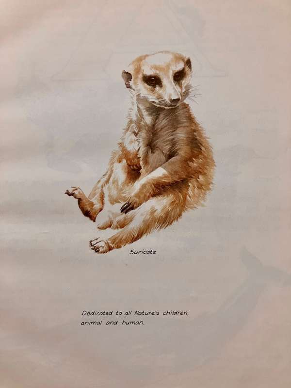 Nature`s ABC - Sue Hart. Hardcover no dj, 1st Ed. 1981