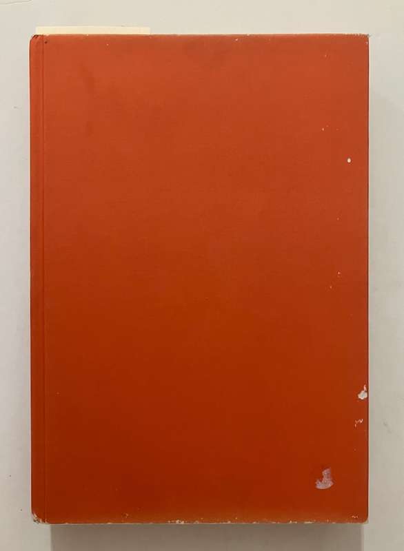 Nice Times! - Henrietta Rose-Innes. Hardcover no dj, 2006