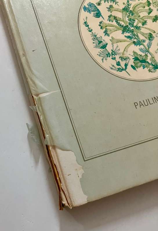 Blomplante van Suid-Kaapland - Pauline Bohnen. Hardeband geen sj, 1e Uitg. 1986