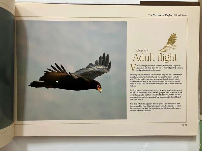 The Verreaux`s Eagles of Roodekrans - G Heydenrych & L Woodcock. Hardcover w dj, 1st Ed. 2012