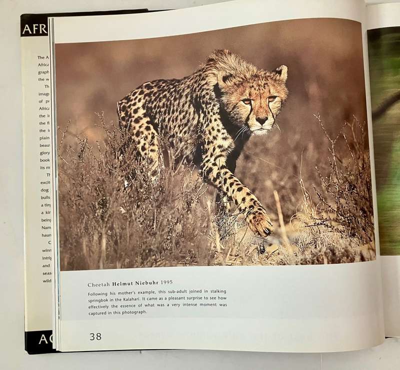 The Best of AGFA Wildlife Awards (1981 - 2000). Hardcover w dj. 1st Ed. 2000