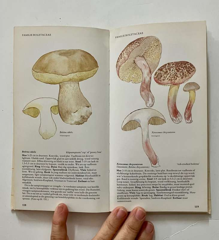 `n Veldgids tot die Sampioene van Suid-Afrika. Levin, Branch, et al. SKAARS hardeband, 1e Uitg. 1987