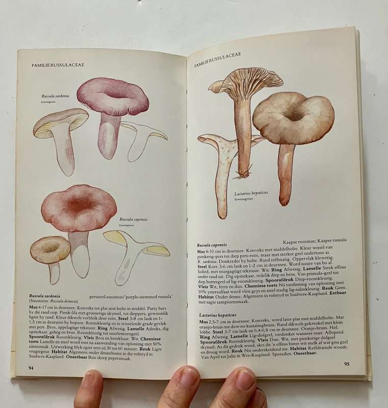 `n Veldgids tot die Sampioene van Suid-Afrika. Levin, Branch, et al. SKAARS hardeband, 1e Uitg. 1987
