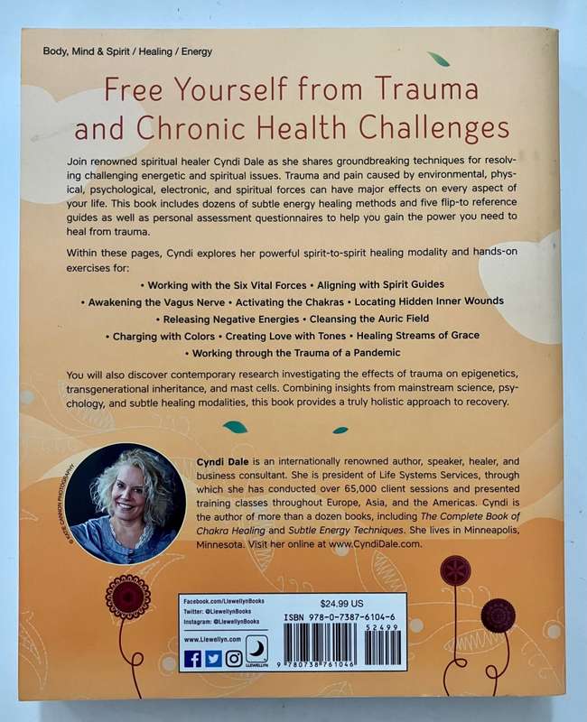 Energy Healing - Cyndi Dale. Softcover. 1st Ed. 3rd Impr. 2021