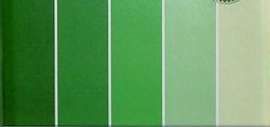 30cm x 30cm SHADES OF GREEN Cardstock (240 gsm) (5 Sheets per Pack)