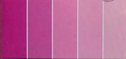 30cm x 30cm SHADES OF PINK Cardstock (240 gsm) (5 Sheets per Pack)