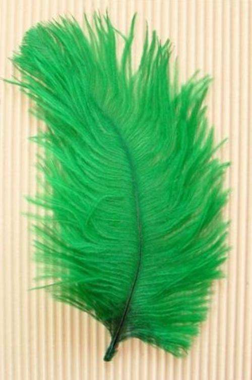 Pack of 120mm x 70mm EMERALD GREEN Ostrich Feathers (5 Feathers per Pack)