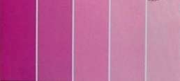 30cm x 30cm - Shades of Pink Cardstock Pack, 200Gr (Pack of 5 Sheets)