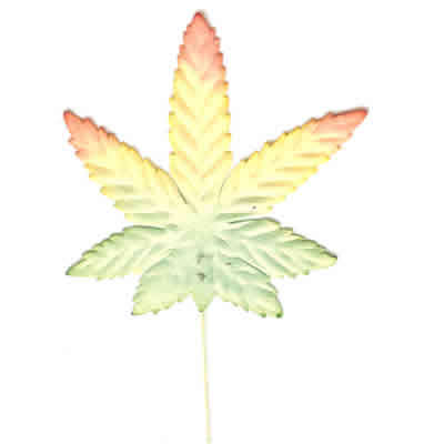 HUGE SALE - 33% OFF - AUTUMN LEAVES