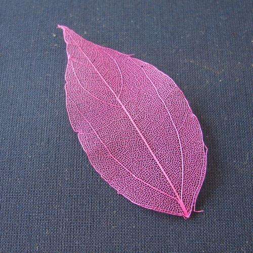 55mm x 30mm Shocking Pink Skeleton Leaves (Sold in Pack of 10 Leaves)