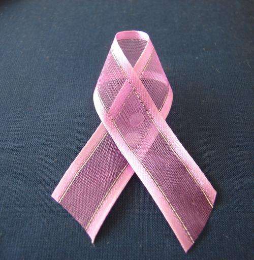 15mm Wide Dark Pink Organza Ribbon with Satin Edge and Silver Trim (Sold by the Meter)