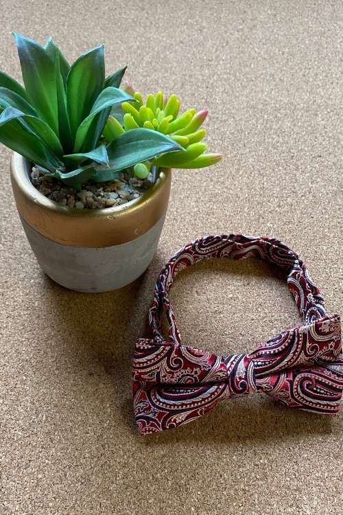 Red, Cream & Black Paisley Bowtie