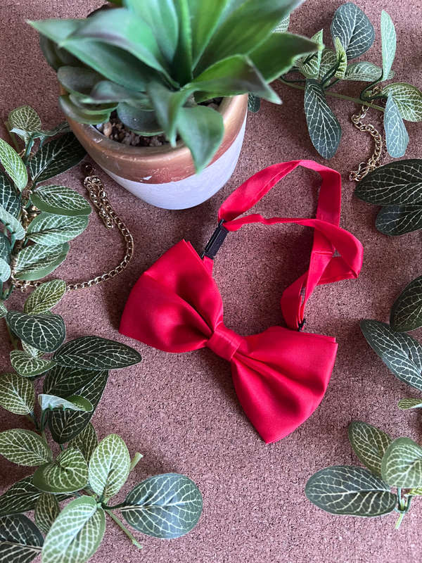 Red Bowties