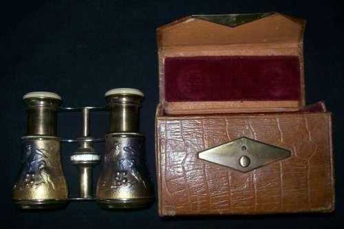 FRENCH OPERA GLASSES Bird and Berry Design WITH CASE