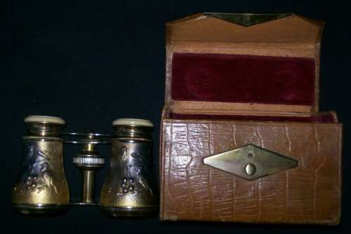 FRENCH OPERA GLASSES Bird and Berry Design WITH CASE