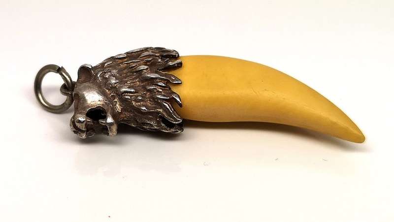 Massive Lion Tooth 35mm | Set in Sterling Silver (.925) Lion Head Pendant | Great Find | 45mm Long