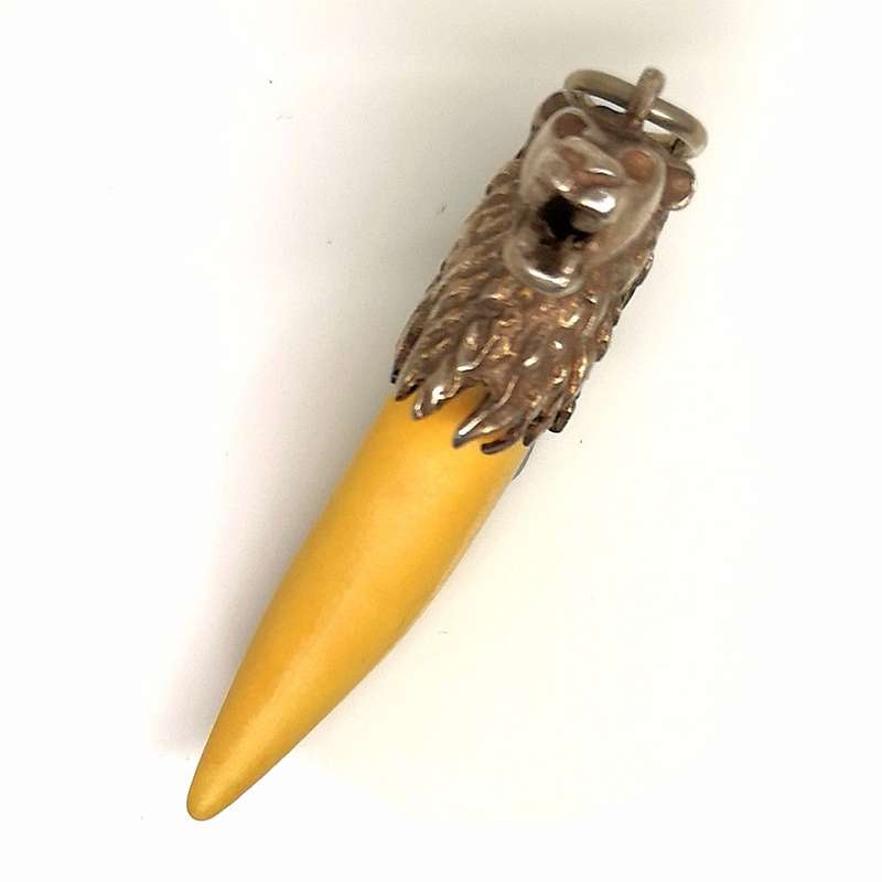 Massive Lion Tooth 35mm | Set in Sterling Silver (.925) Lion Head Pendant | Great Find | 45mm Long