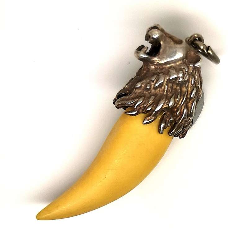 Massive Lion Tooth 35mm | Set in Sterling Silver (.925) Lion Head Pendant | Great Find | 45mm Long