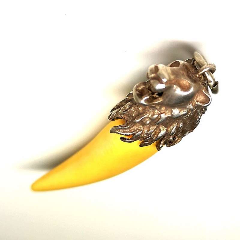 Massive Lion Tooth 35mm | Set in Sterling Silver (.925) Lion Head Pendant | Great Find | 45mm Long