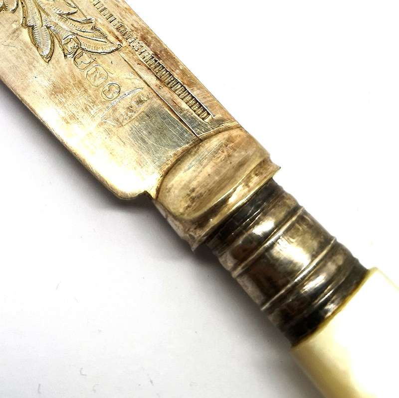 120 Year old | Fish Fork and Knife Set | EPNS | MOP | Mother Of Pearl Handles | Engraved Details