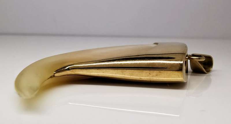 Massive | One Of A Kind | Lion Claw Pendant | 14 ct Gold Setting | 4.7cm In Length 4cm Width