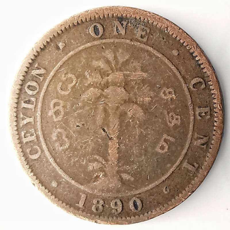 1890 | ½ Cent | Victoria | Sri Lanka | 18 mm | 131 Year Old Coin | Low Mintage
