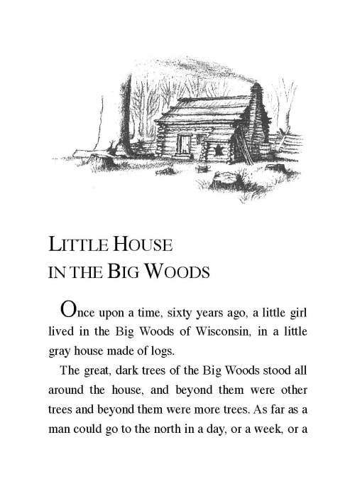 Little House in the Big Woods (DAMAGED)
