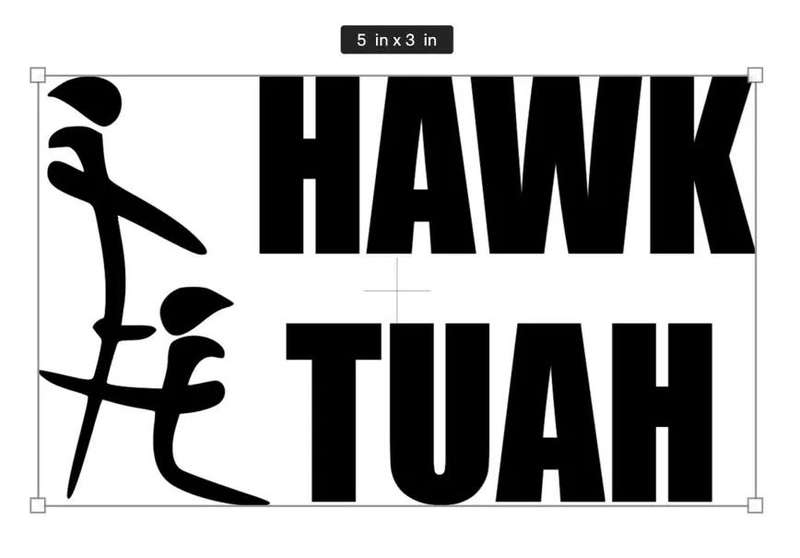 Hawk Tuah STICKERS