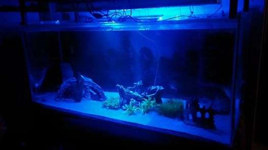 30cm plug and play Aquashine LED Lunar lights