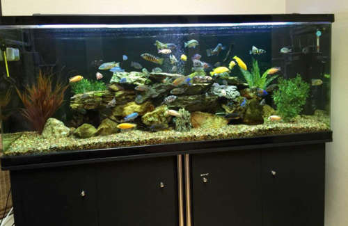 Aquashine LED aquarium lighting