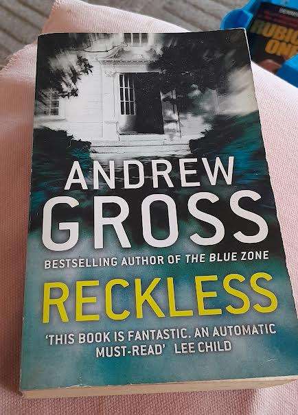 Reckless-Andrew Gross