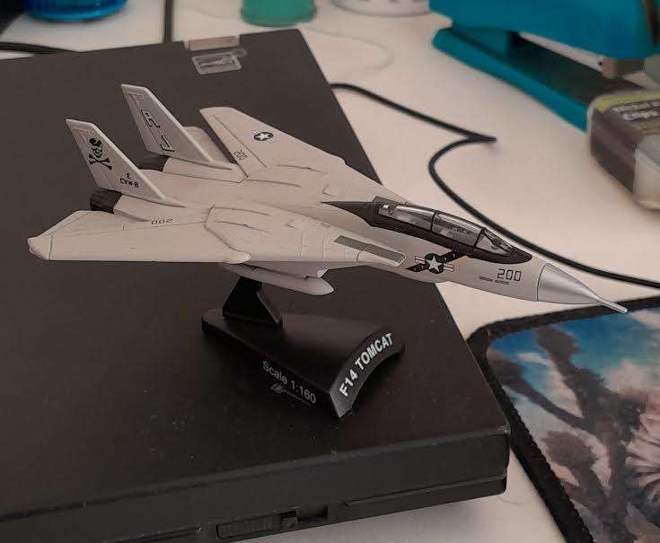 Grumman F-14 Tomcat
