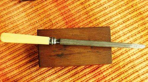 Shefield Ivory-handle blade sharpner. Something special!