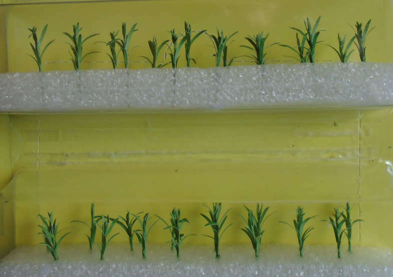 MP HO SCALE - 3/4` 32 YOUNG CORN STALKS, CARDED
