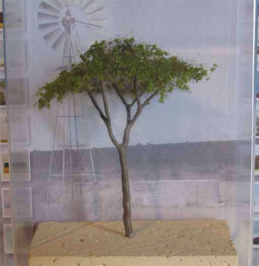 ACASIA TREE 65mm by MSP (MADE IN RSA) - NEW CARDED