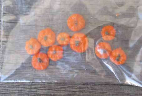 10 X TRADITIONAL ORANGE PUMPKINS, IDEAL FOR SAR LAYOUT, ETC,