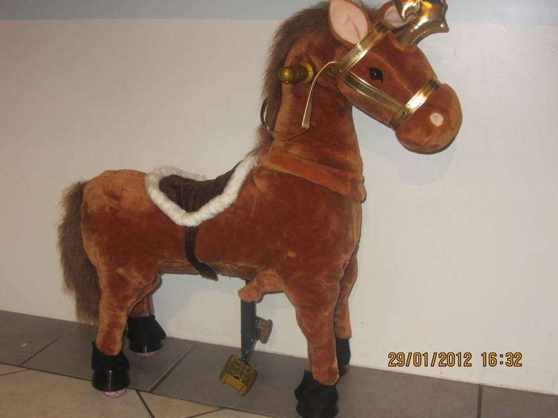 Pony Cycles LOTS OF FUN !!!!!