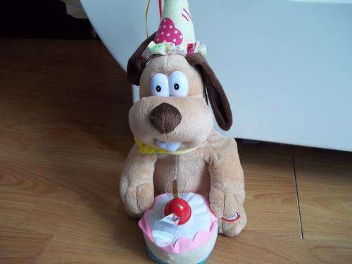 Happy birthday singing teddy. Cute and adorable play toy for kids!