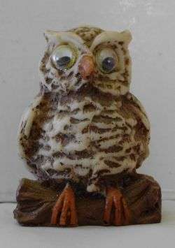OWL ON LOG