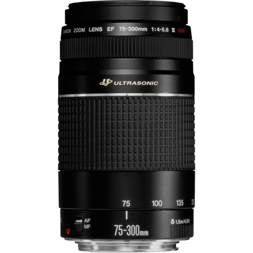 ** R1 - NO RESERVE ** Canon EF 75-300mm f/4-5.6 USM Mk III Telephoto Lens