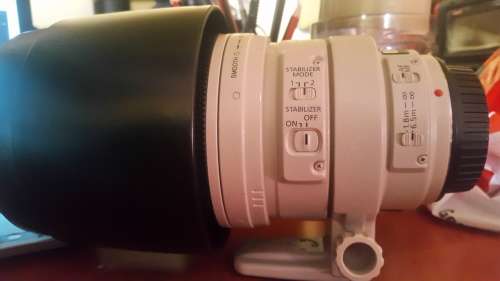 Canon EF 100-400mm f/4.5-5.6L IS USM Lens